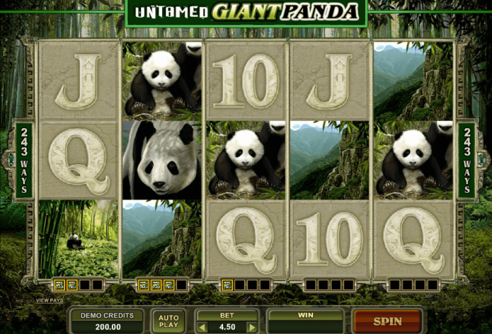 243 Winning Ways from Giant Panda